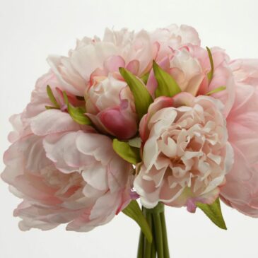 Fleurs bouquet de pivoines Diane H24cm - Amadeus