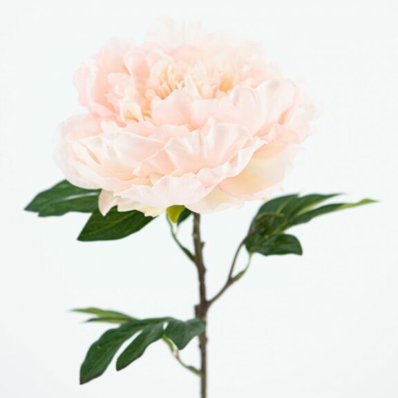 Pivoine Coralline rose pâle H63cm - Amadeus