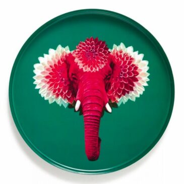 Plateau rond Pachiiii 33cm - Gangzai