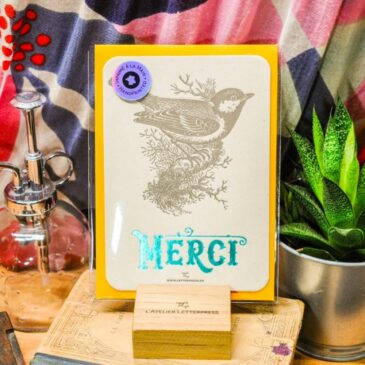 Carte Letterpress Merci / Mésange & turquoise - Atelier Letterpress