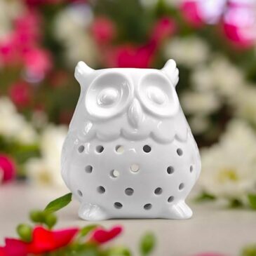 Brûle-parfum Hibou - Zen Arôme
