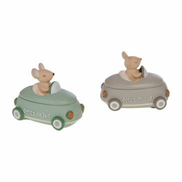 Boite à dent Voiture - Amadeus