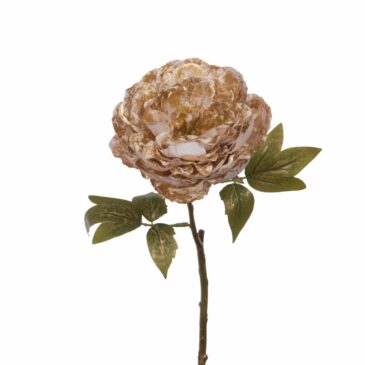 Pivoine en métal H45 Crème & Or - Amadeus