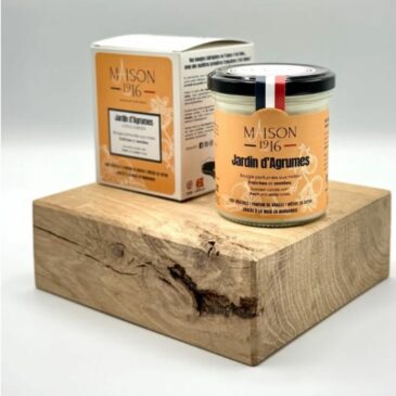 Bougie parfumée 180g / Jardin d'Agrumes - Maison 1916