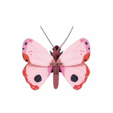 Papillon Rosora en 3D à assembler - Studio Roof