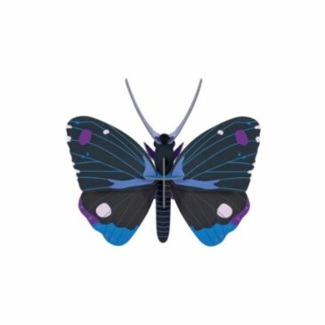 Papillon Diadem Bleu en 3D à assembler - Studio Roof