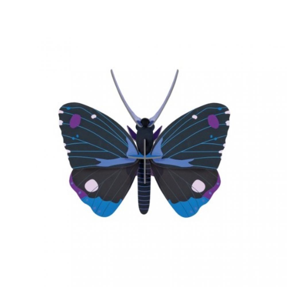 Papillon Diadem Bleu en 3D à assembler - Studio Roof