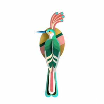 Oiseau de Paradis Nias en 3D à assembler - Studio Roof