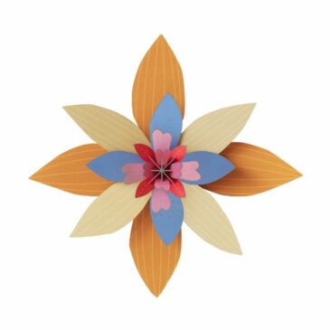 Fleur Sorbet Abricot en 3D à assembler - Studio Roof