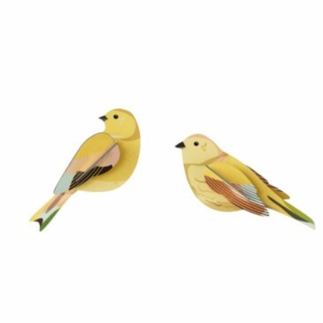 Duo oiseaux Citrinella en 3D à assembler - Studio Roof